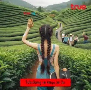 เน็ตทรู 10 Mbps 30 วัน